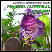 Jamie Llewellyn - Natural Sounds for Sleep: Peaceful Cathedral Gardens