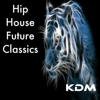 Various Artists - Hip House Future Classics