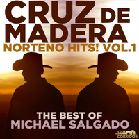 Michael Salgado - Club Corridos: Norteno Hits! Vol. 1, Cruz De Madera, The Best of Michael Salgado