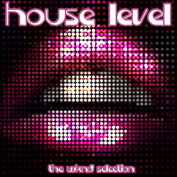 Various Artists - House Level