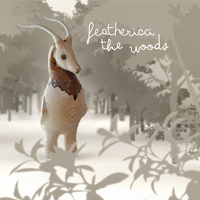 Feathericci - The Woods