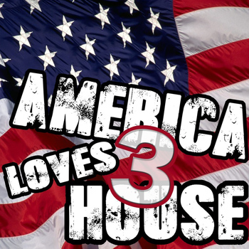 Various Artists - America Loves House 3