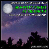 Jamie Llewellyn - Sounds of Nature for Sleep: Moonlit Forest at Midnight