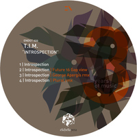 T.I.M. - Introspection