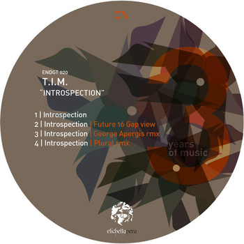 T.I.M. - Introspection