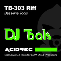 Acidaizer - 303 Riff Tools Vol. 1