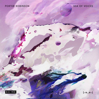 Porter Robinson - Sea Of Voices (RAC Mix)