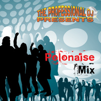 The Professional DJ - The Polonaise Mix (Explicit)