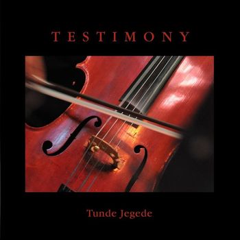 Tunde Jegede - Testimony