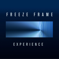 Freeze Frame - Experience