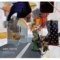 Sam Harris - Sam Harris. Interludes