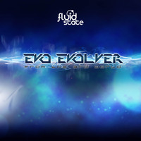 Evo Evolver - From The 3rd World