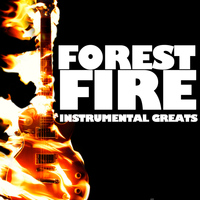 various artisits - Forest Fire: Instrumental Greats