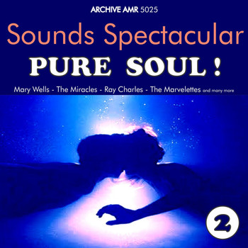 Various Artists - Sounds Spectacular: Pure Soul ! Volume 2