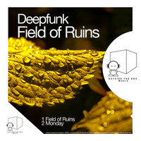 Deepfunk - Field of Ruins