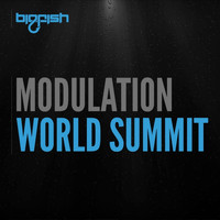 Modulation - World Summit