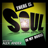 Alex Ander - There Is Soul in My House