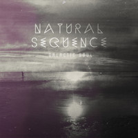 Natural Sequence - Galactic Soul