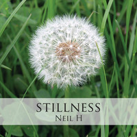 Neil H - Stillness