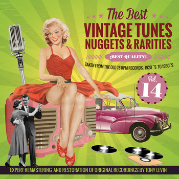 Various Artists - The Best Vintage Tunes. Nuggets & Rarities ¡Best Quality! Vol. 14