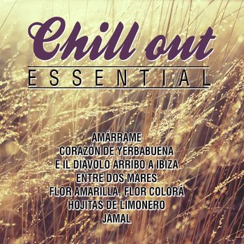Various Artists - Chill out Essential