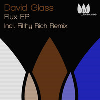 David Glass - FLUX EP (Incl. Filthy Rich Remix)