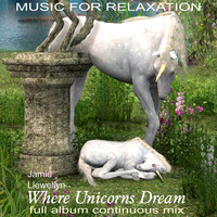 Jamie Llewellyn - Music for Relaxation: Where Unicorns Dream