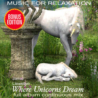 Jamie Llewellyn - Music for Relaxation: Where Unicorns Dream