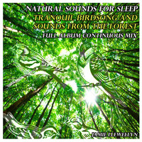Jamie Llewellyn - Natural Sounds for Sleep: Tranquil Birdsong and Sounds from the Forest