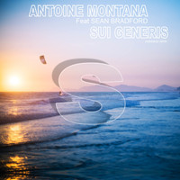 Antoine Montana feat. Sean Bradford - Sui Generis (Rockstarzz Remix)