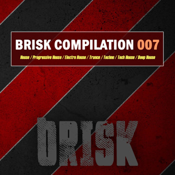Various Artists - Brisk Compilation 007