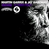 Martin Garrix, Jay Hardway - Wizard