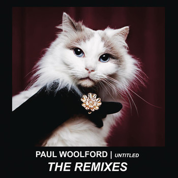 Paul Woolford - Untitled (Call Out Your Name) (Remixes)