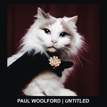 Paul Woolford - Untitled (Call Out Your Name)