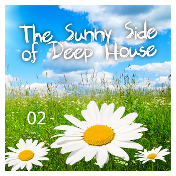Various Artists - The Sunny Side of Deep House Vol. 2