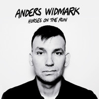 Anders Widmark - Horses on the Run