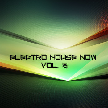 Various Artists - Electro House Now, Vol. 3