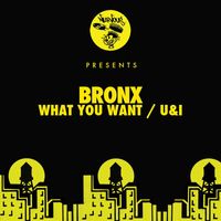 Bronx - What You Want / U&I