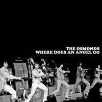 The Osmonds - Where Does an Angel Go