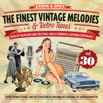 Various Artists - The Finest Vintage Melodies & Retro Tunes Vol. 30