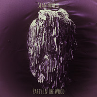 Sean Fowler - Party in the Wood
