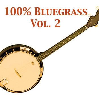 Various Artists - 100% Bluegrass, Vol. 2