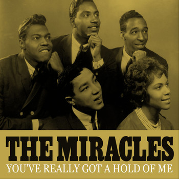 The Miracles - You've Really Got a Hold of Me