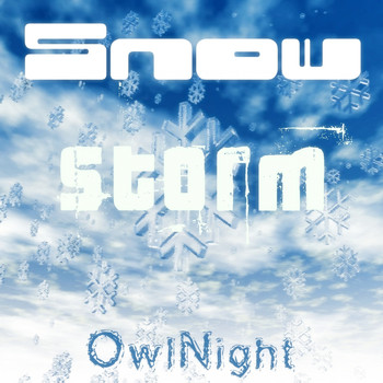 Owlnight - Snow Storm