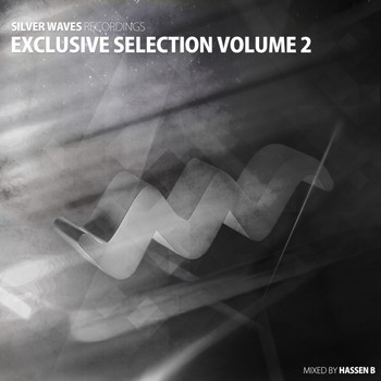 Various Artists - Silver Waves Exclusive Selection Vol. 2