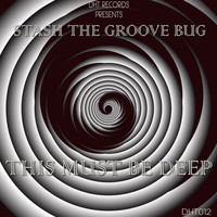 Stash The Groove Bug - This Must Be Deep