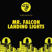 Mr. Falcon - Landing Lights