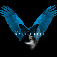 Mantra Of Machines - Spiritbird