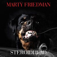 Marty Friedman - Steroidhead