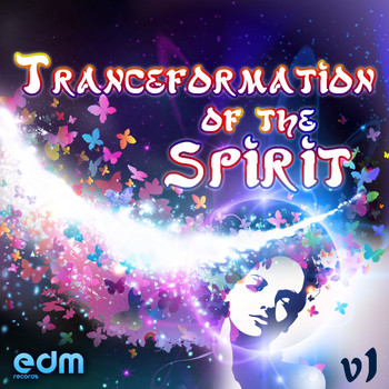 Various Artists - Tranceformation Of The Spirit, Vol. 1